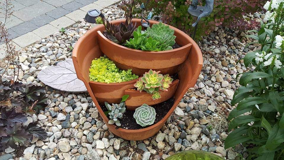 A broken pot is filled with plants