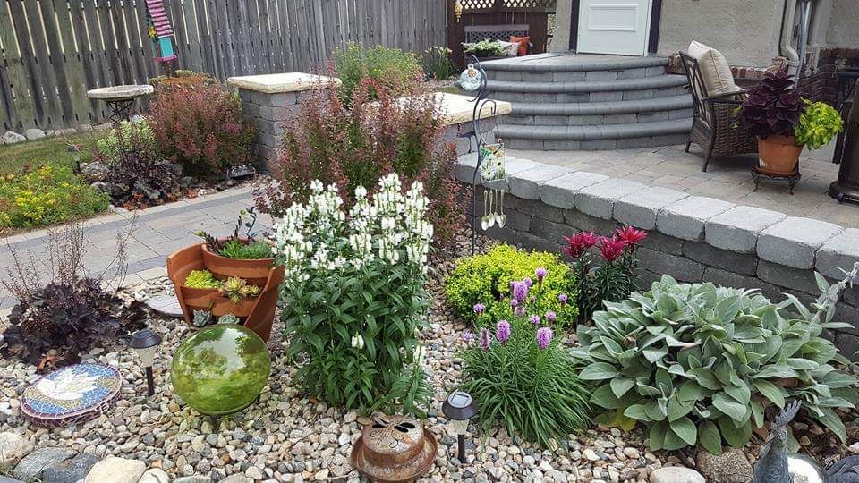 A garden with flowers