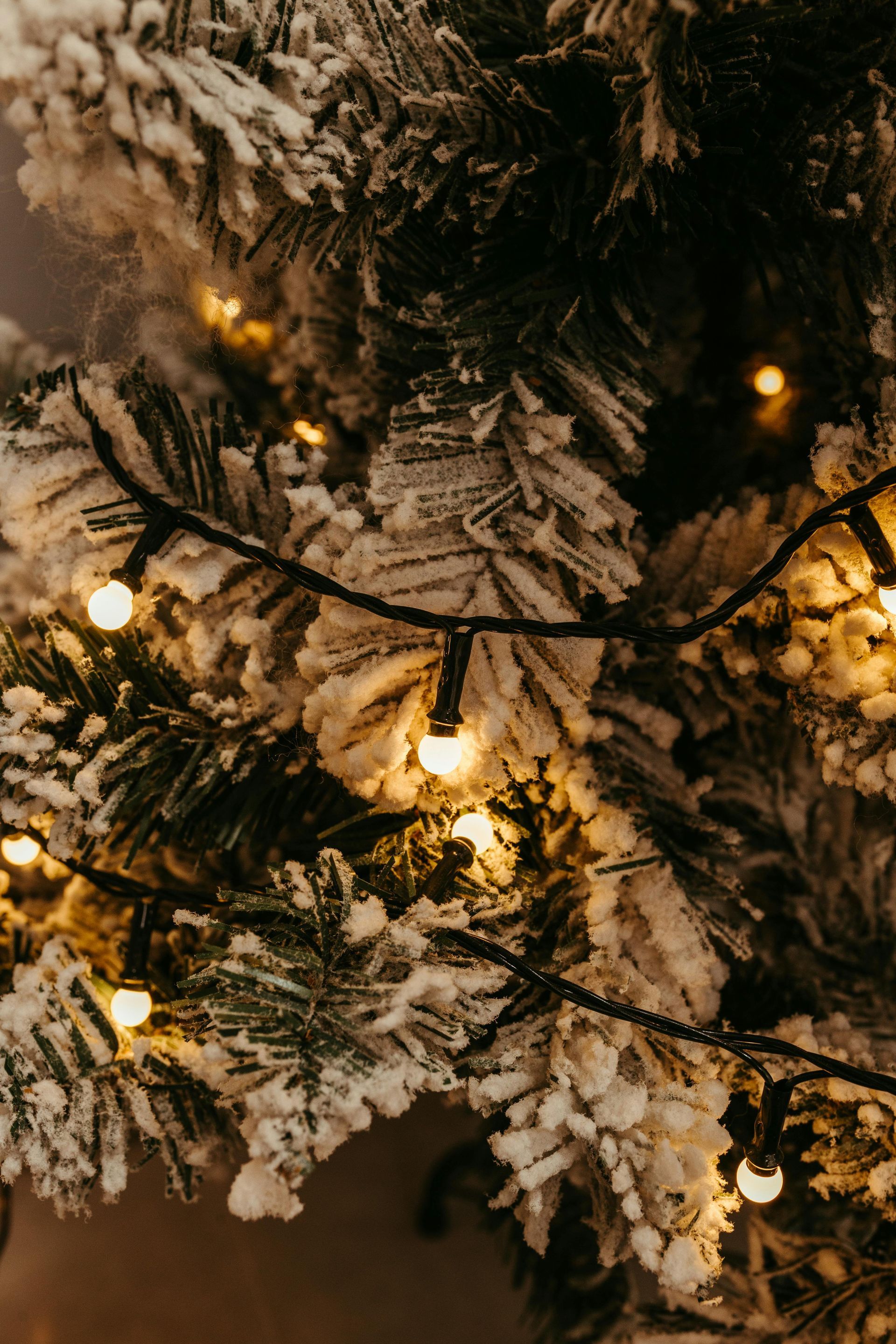 A close up of a christmas tree with lights on it