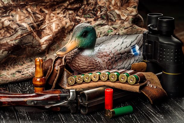 decoy duck and bullets