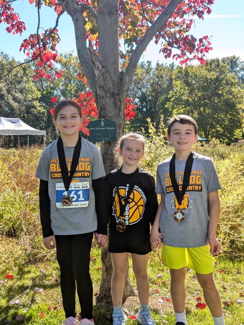 A group of young girls are posing for a picture in a park.