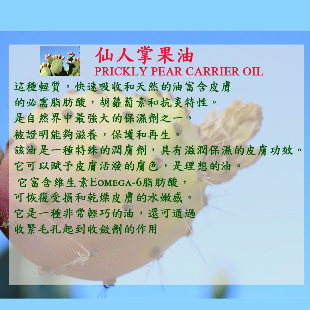 仙人掌果油 10ml-prickly pear carrier oil(100% Pure Natural)