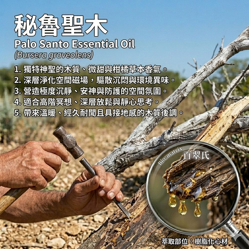 祕魯聖木純精油-5ml環境擴香、空間調理使用