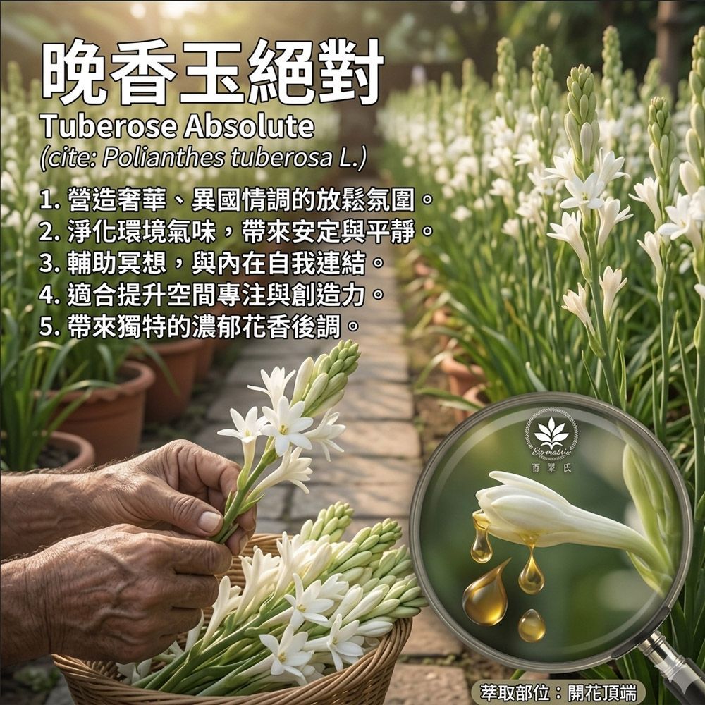 夜來香花精油-30ml 室內薰香、水氧機專用