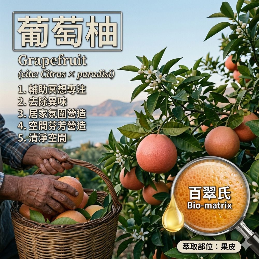 葡萄柚純精油10環境空間薰香調理