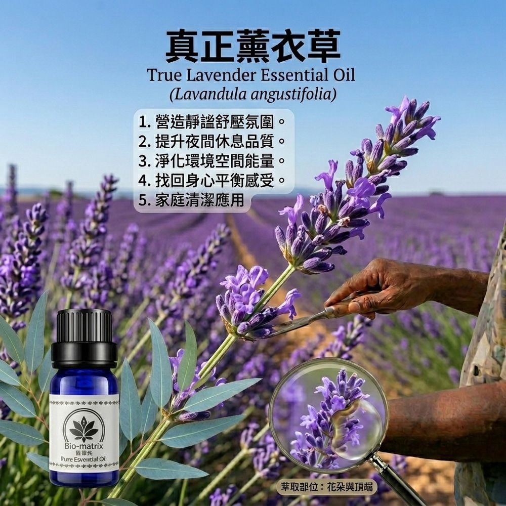 真正薰衣草純精油50ml環境擴香、空間調理使用