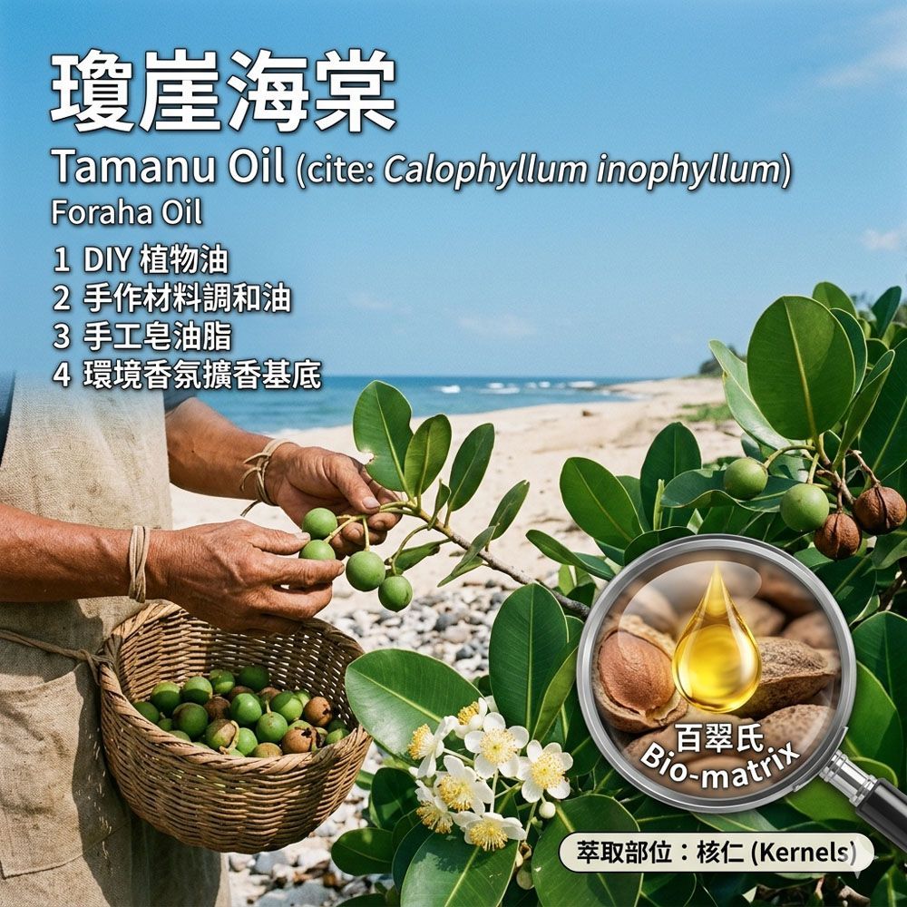 瓊崖海棠油30ml DIY手作材料調和油 、手工皂油脂