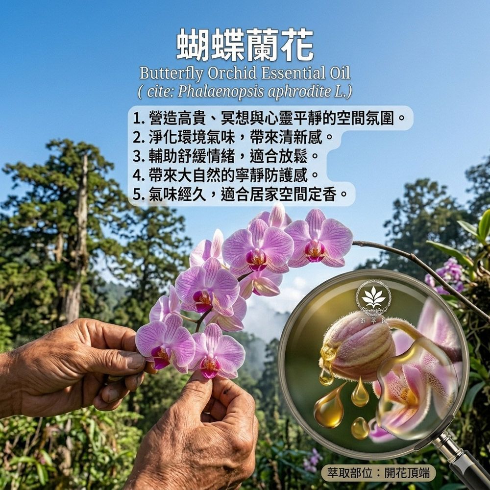 蘭花絕對3%5ml豪宅空間擴香、辦公室嗅覺調理、環境香氛