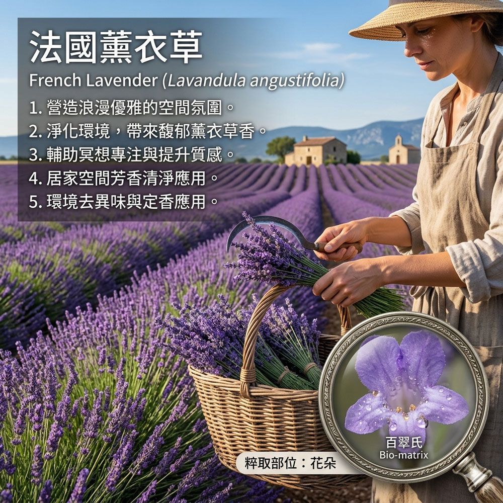 法國薰衣草純精油50ml環境擴香、空間調理使用