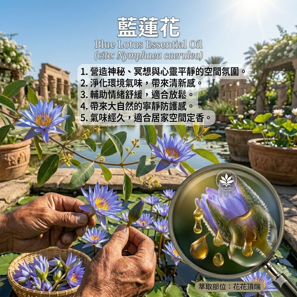 藍蓮花精油絕對(原精3%)10ml空間香氛薰香用