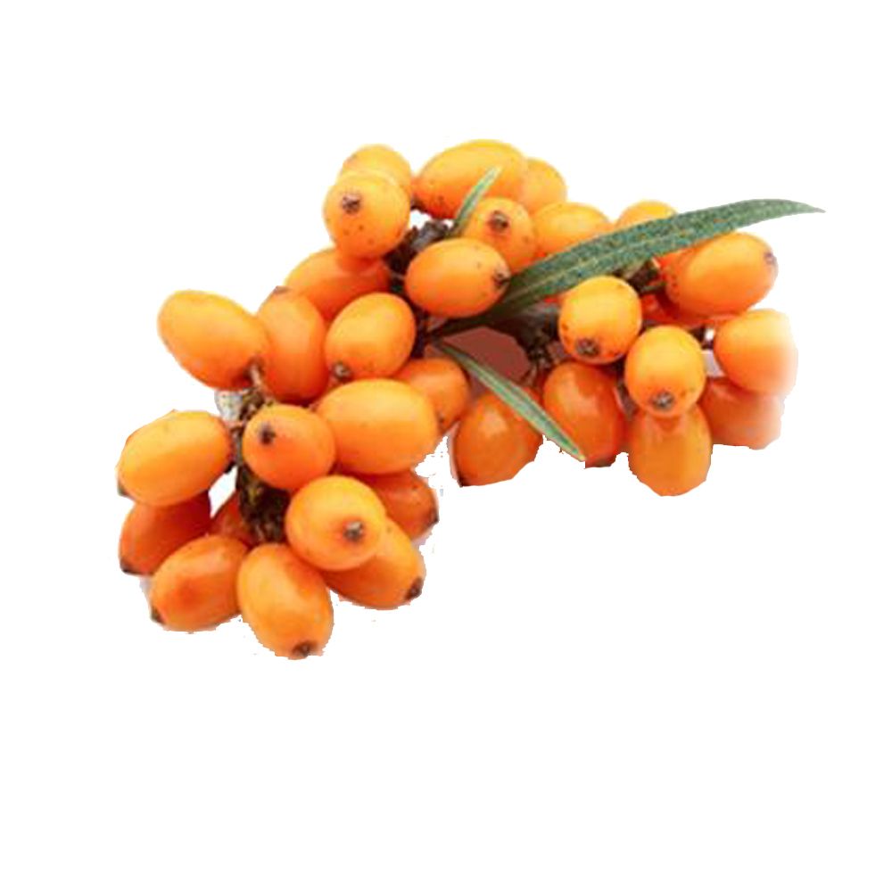 沙棘油30ml-Sea Buckthorn Oil
