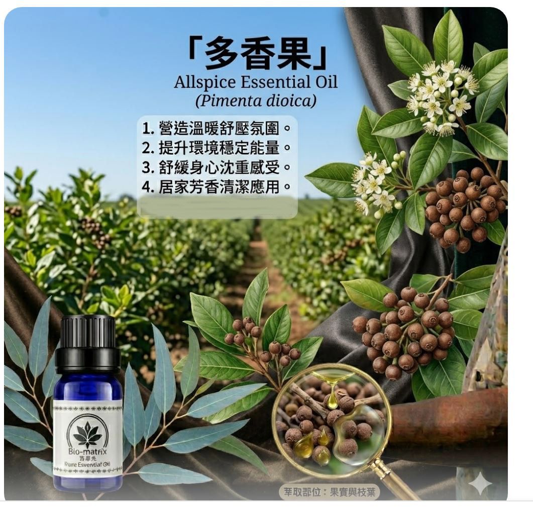 多香果純精油Allspice10ml環境擴香、空間調理使用