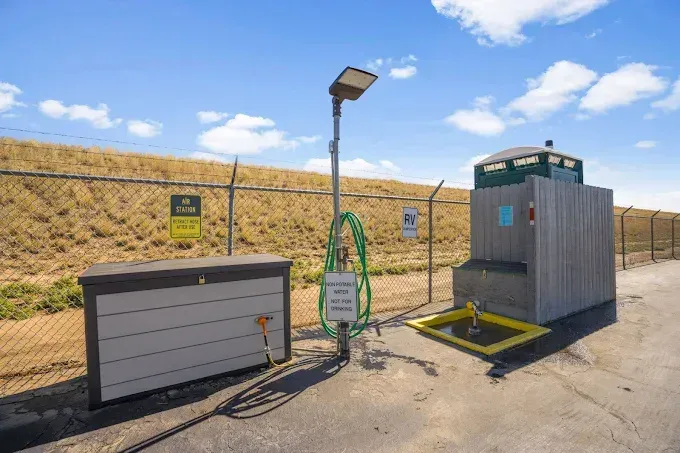 A brown mouse with large ears on a gray stone surface, searching for food.