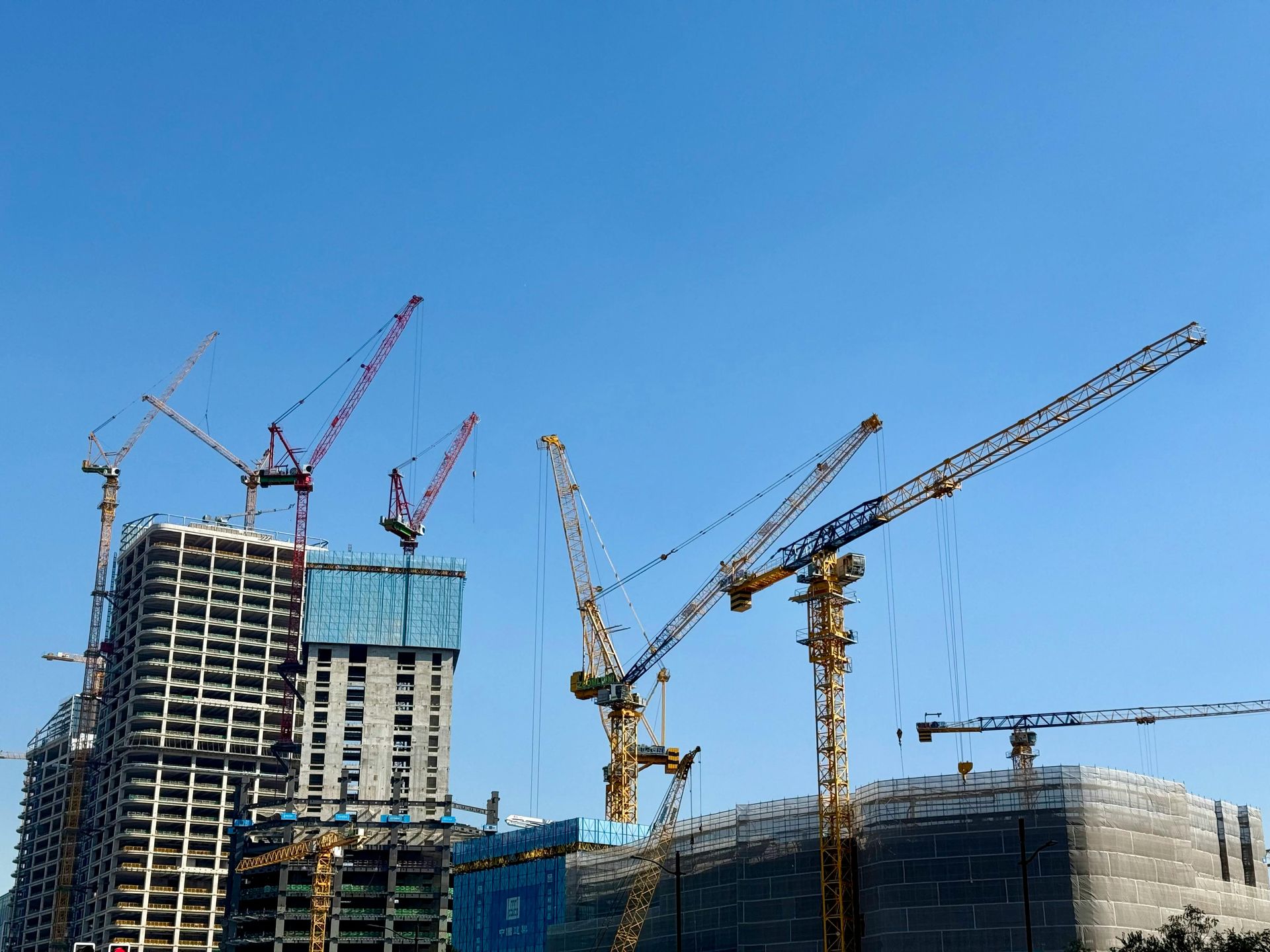 Builder Licence for Companies: What You Need to Know