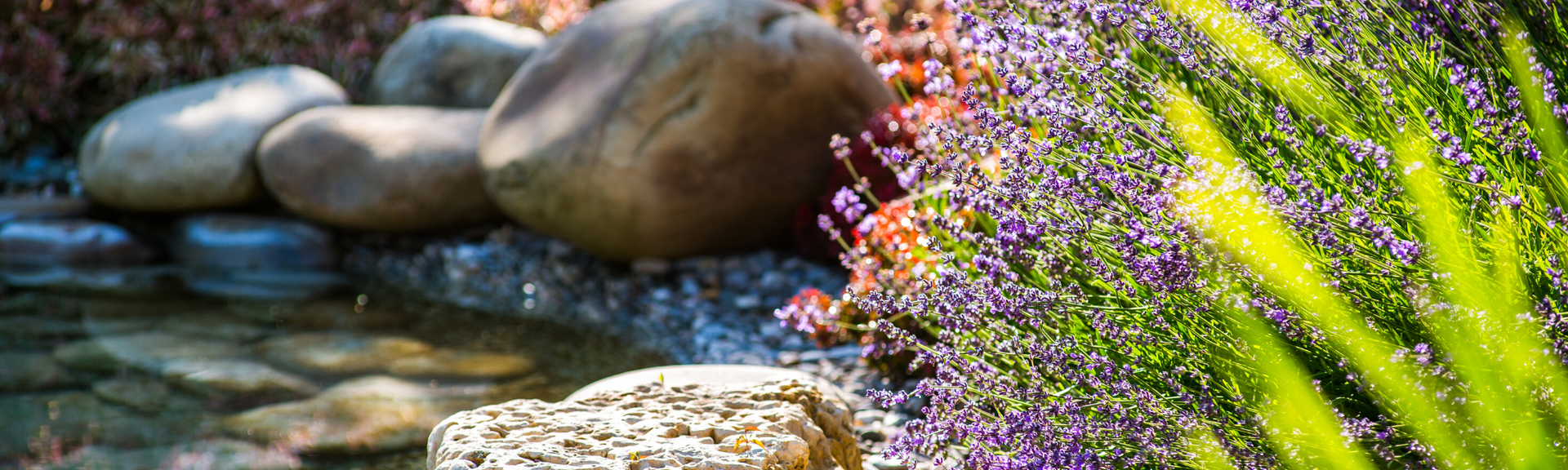 rocks in flower bed