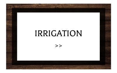 irrigation