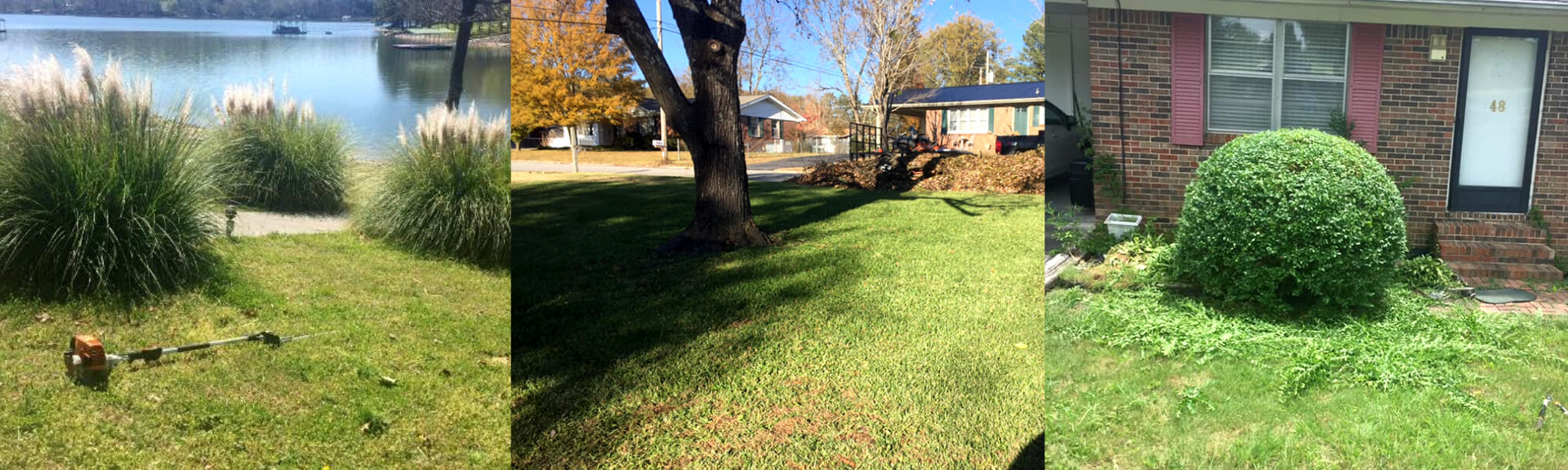 seasonal yard clean up