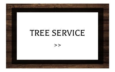 tree service