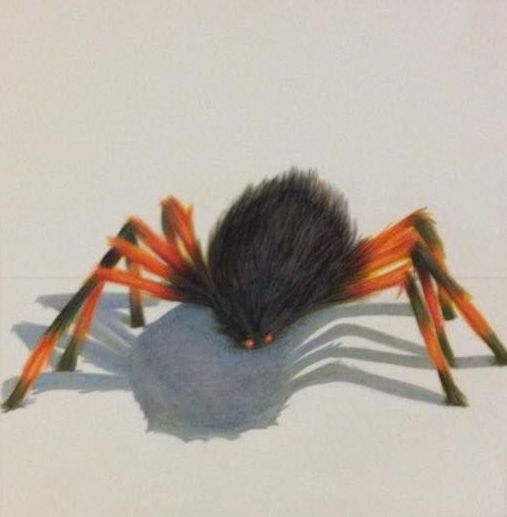 A black and orange spider is sitting on a white surface