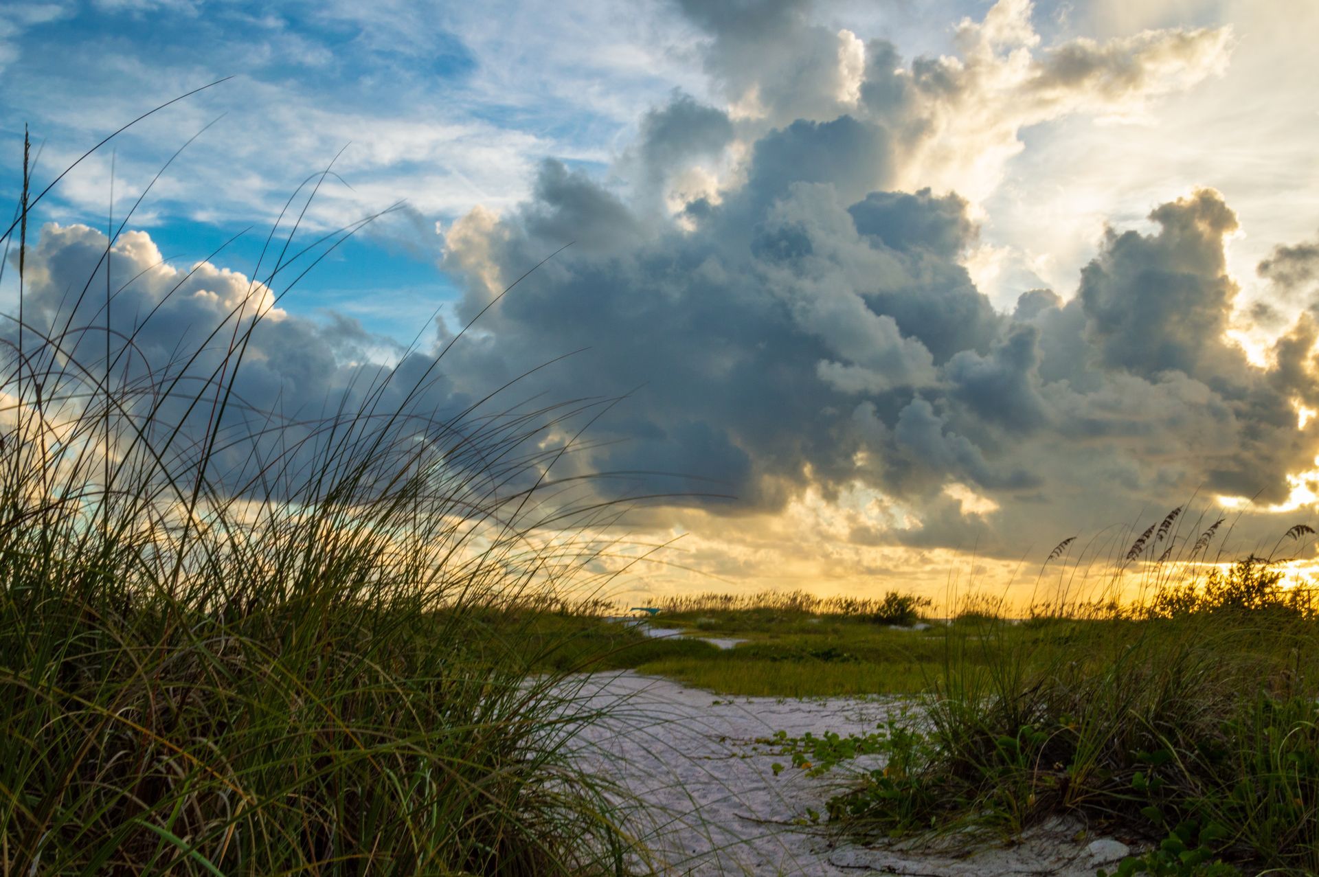 A path going through a grassy field with a cloudy sky in the background.