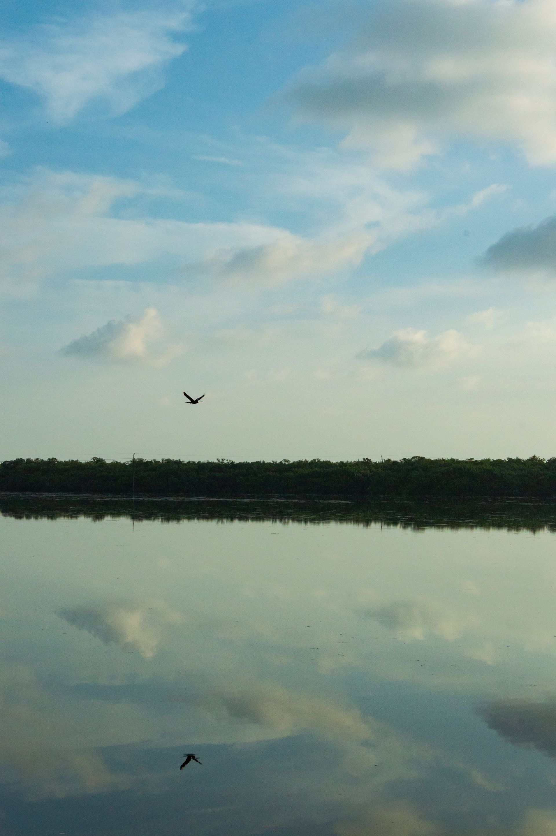 Two birds are flying over a large body of water