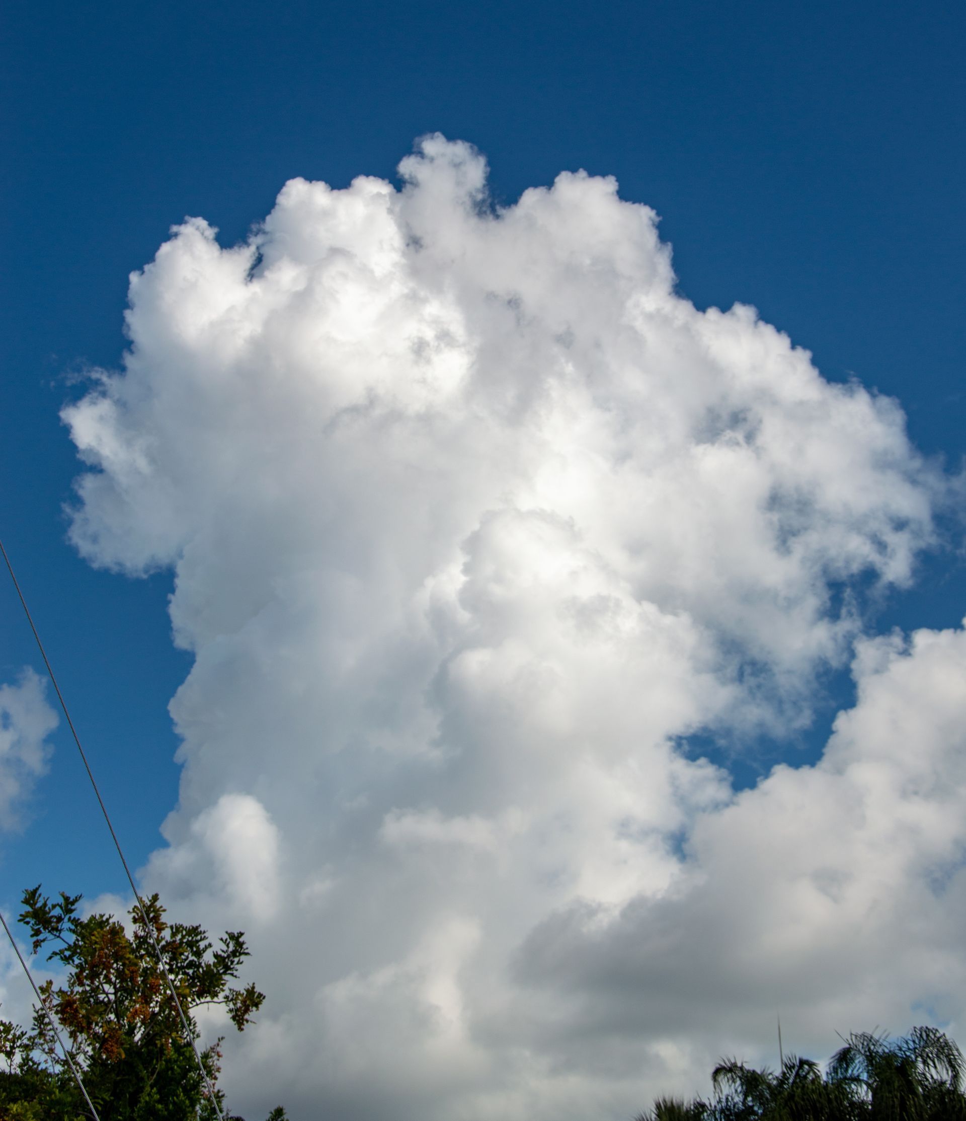 A large white cloud in a blue sky with trees in the foreground