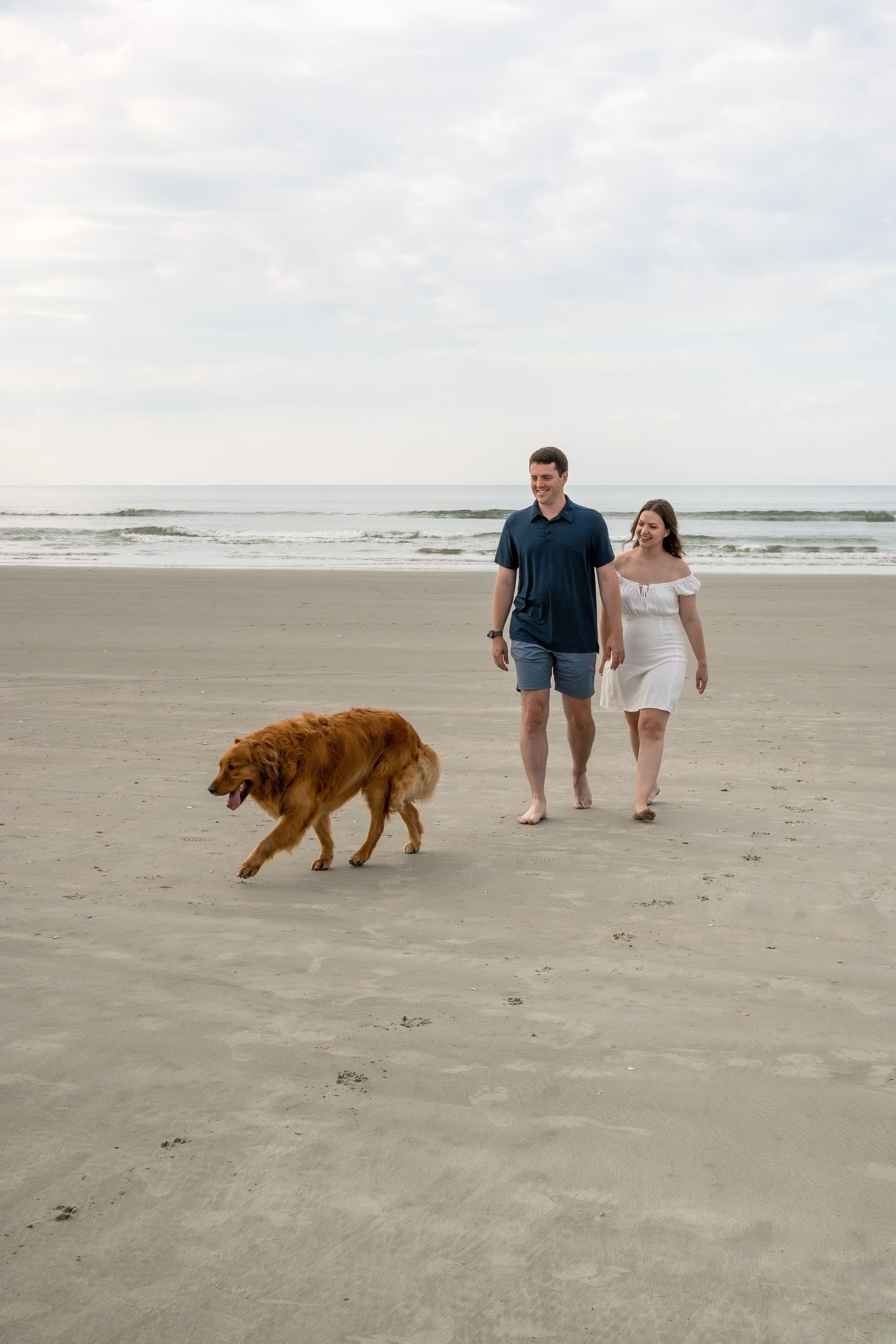 A man and a woman are walking a dog on the beach.