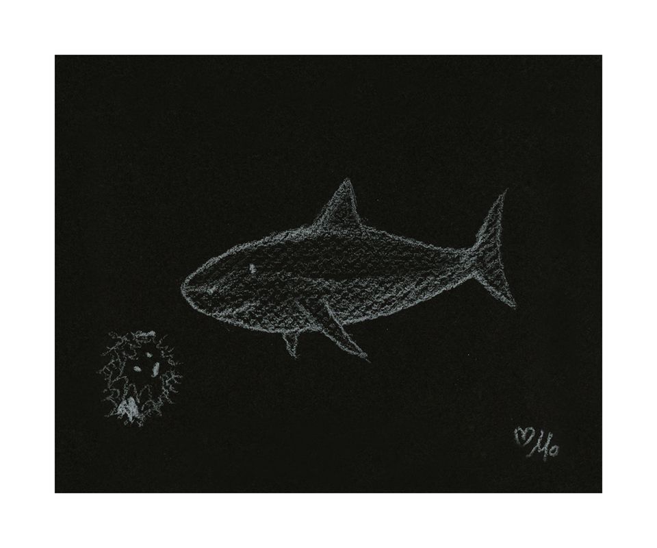 A black and white drawing of a shark on a black background.