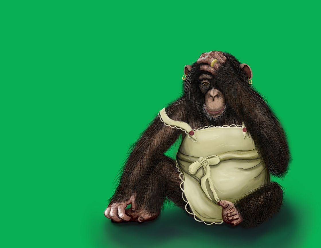 A chimpanzee wearing an apron is sitting on a green background