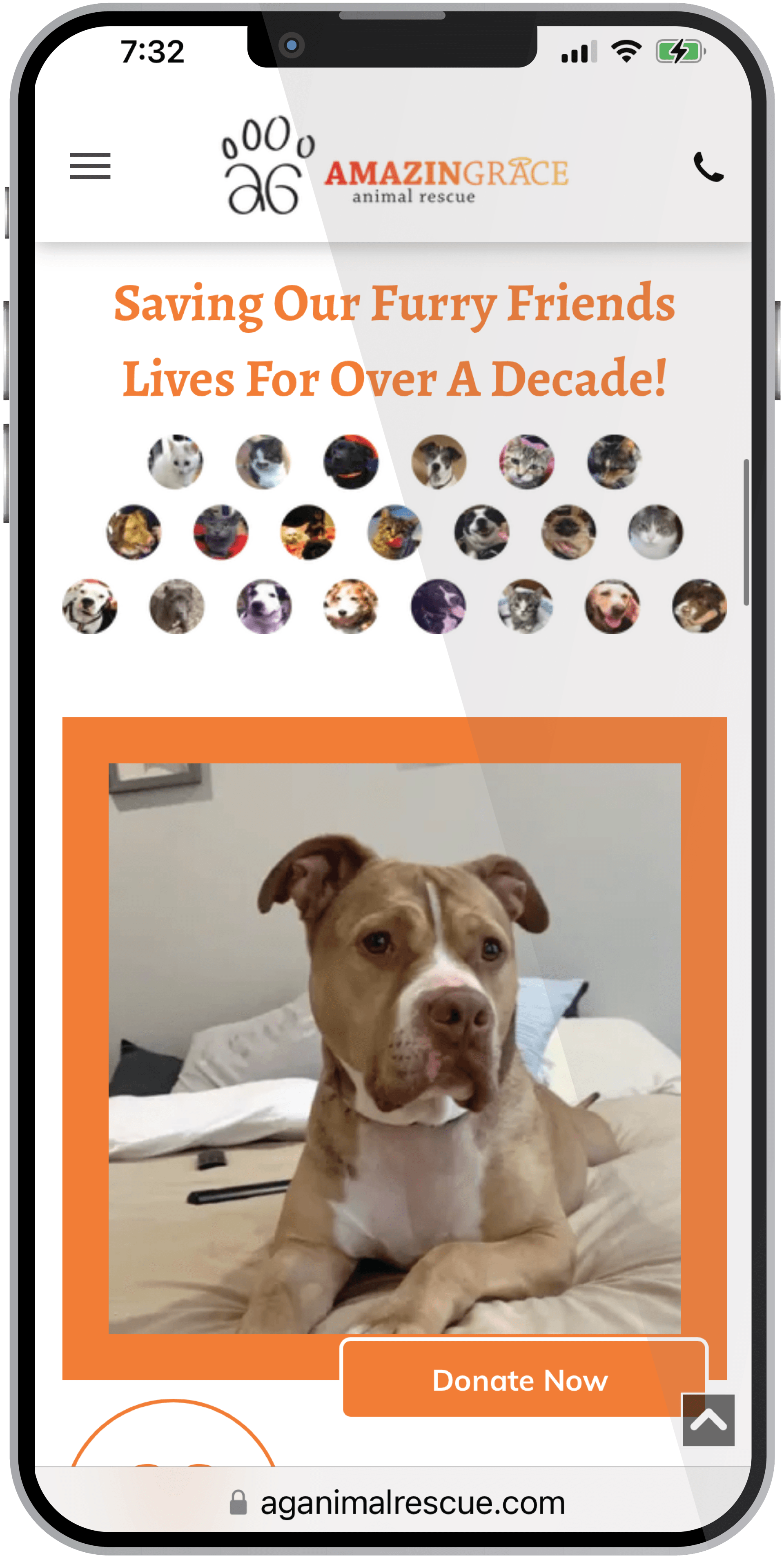 A cell phone with a picture of a dog on the screen.