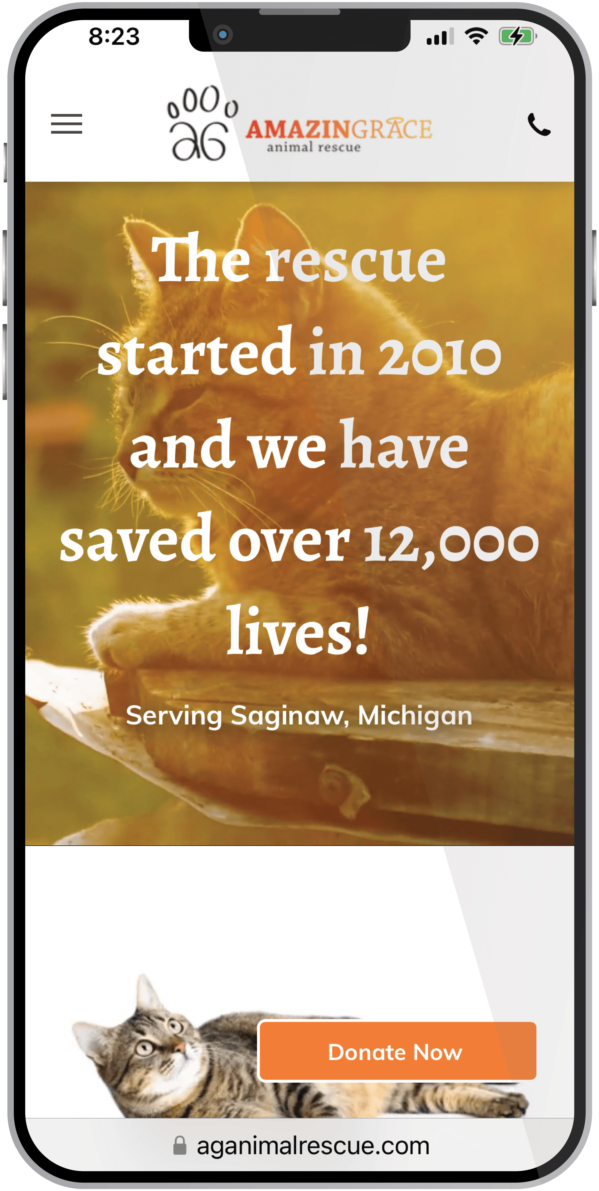 The rescue started in 2010 and we have saved over 12,000 lives !