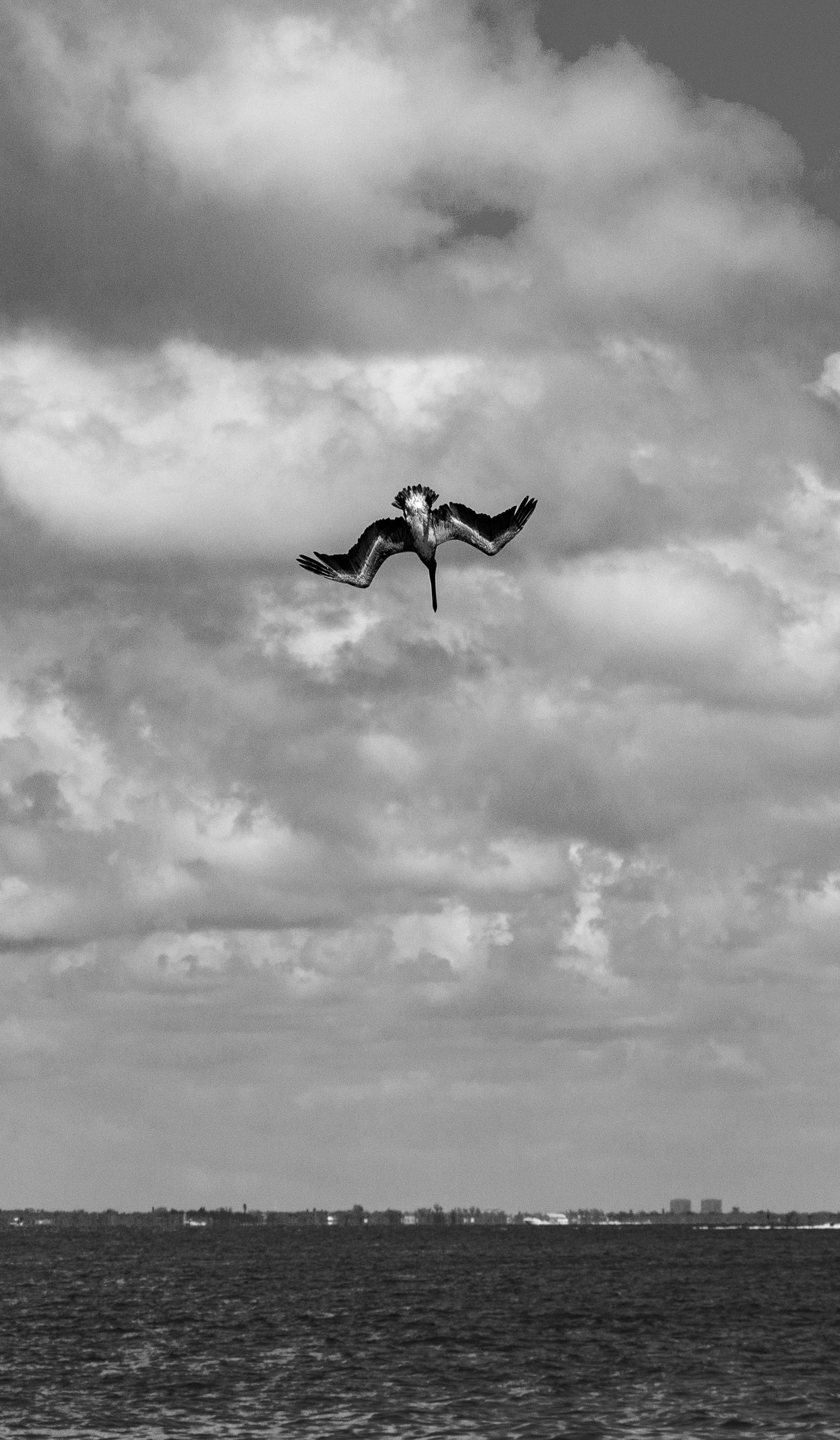 A black and white photo of a bird flying over the ocean