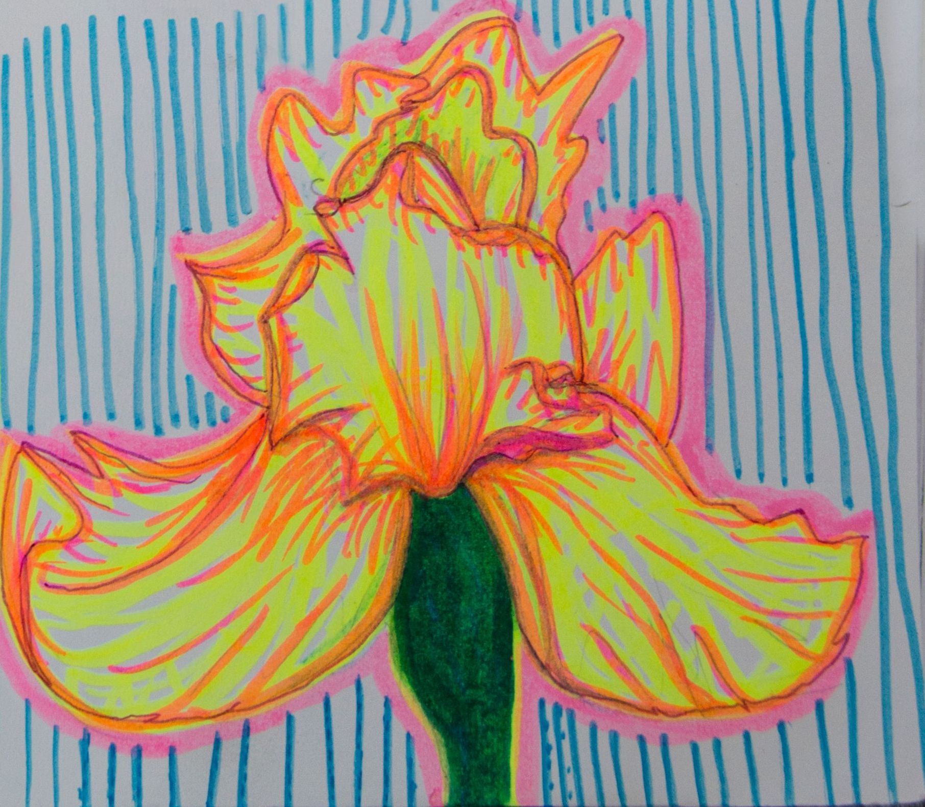 A colorful drawing of a yellow flower on a white background.