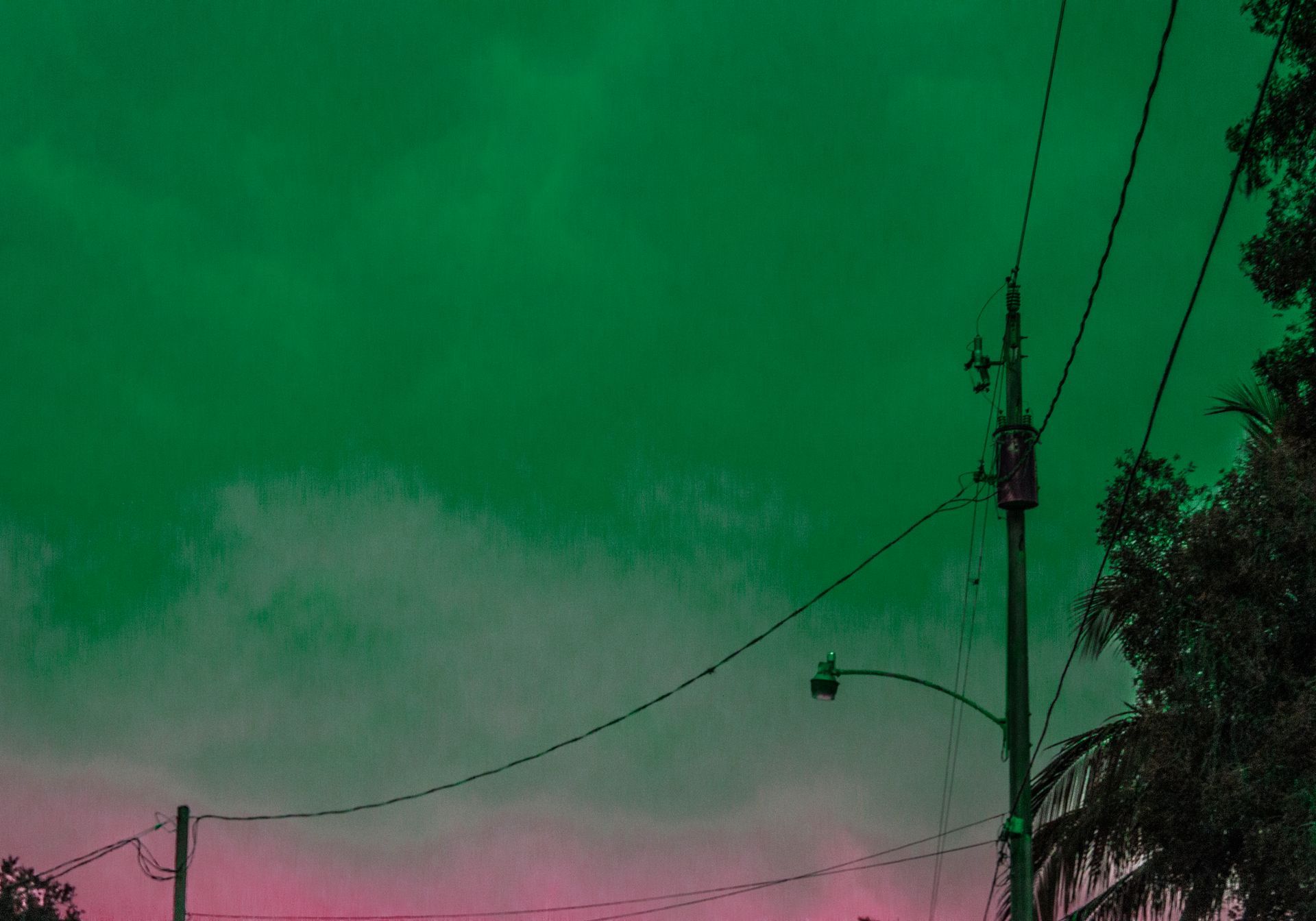 A green and pink sky with telephone poles and trees in the foreground.