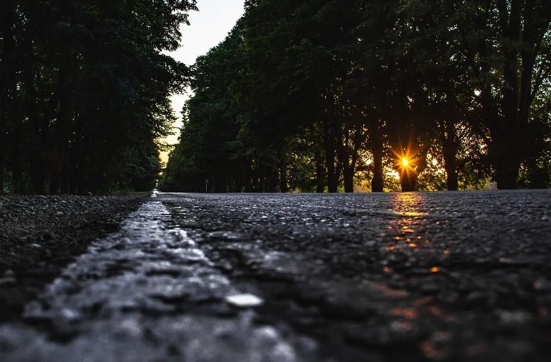 Asphalt road with white line, trees lining the sides, sun shining through trees.
