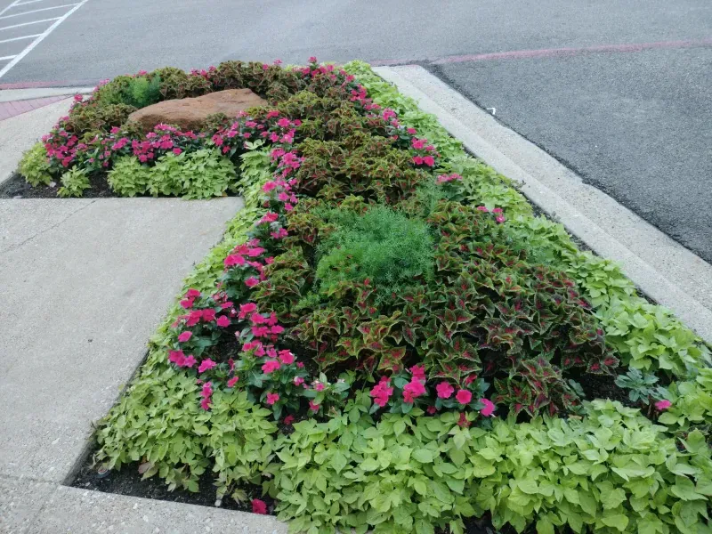 For commercial landscaping in Garland, TX - call Better Earth Solutions