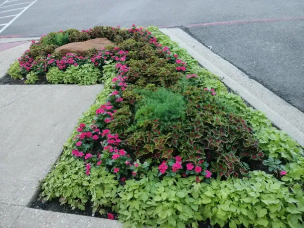 For commercial landscaping in Garland, TX - call Better Earth Solutions