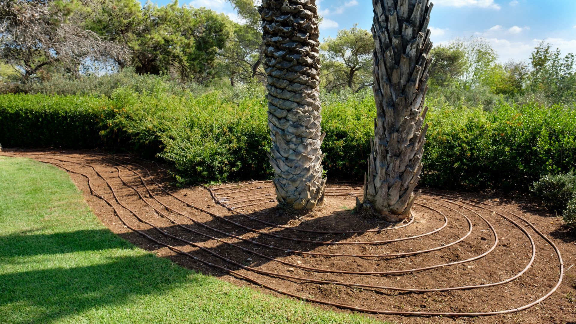 For drip irrigation system installation in Garland, TX - call Better Earth Solutions