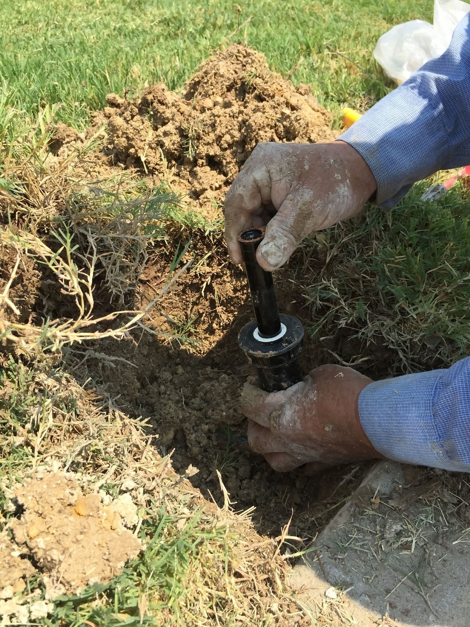 Hands installing a sprinkler head in a lawn.