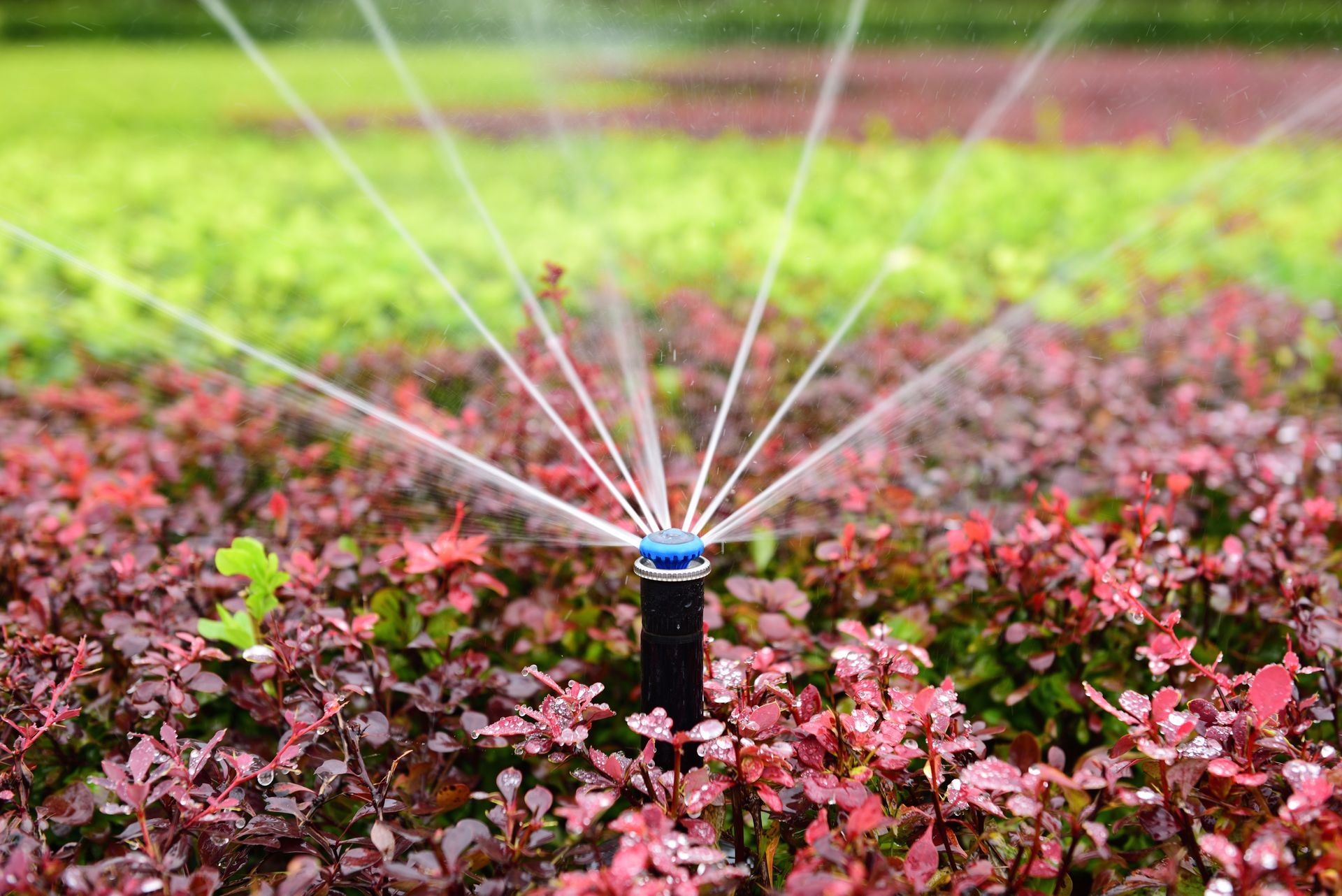For irrigation repair in Garland TX, call Better Earth Solutions