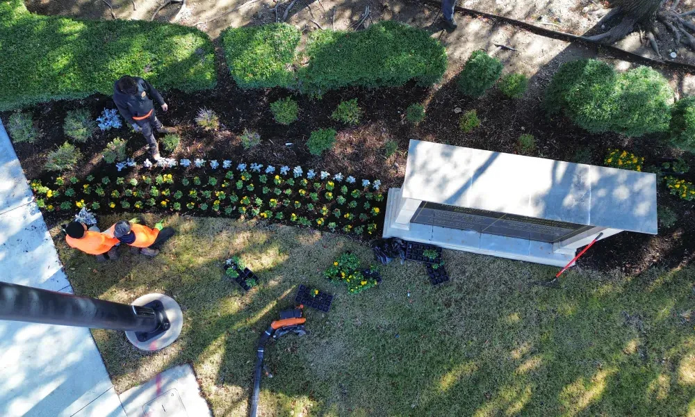 Workers planting flowers in a garden bed, with a building on the right.