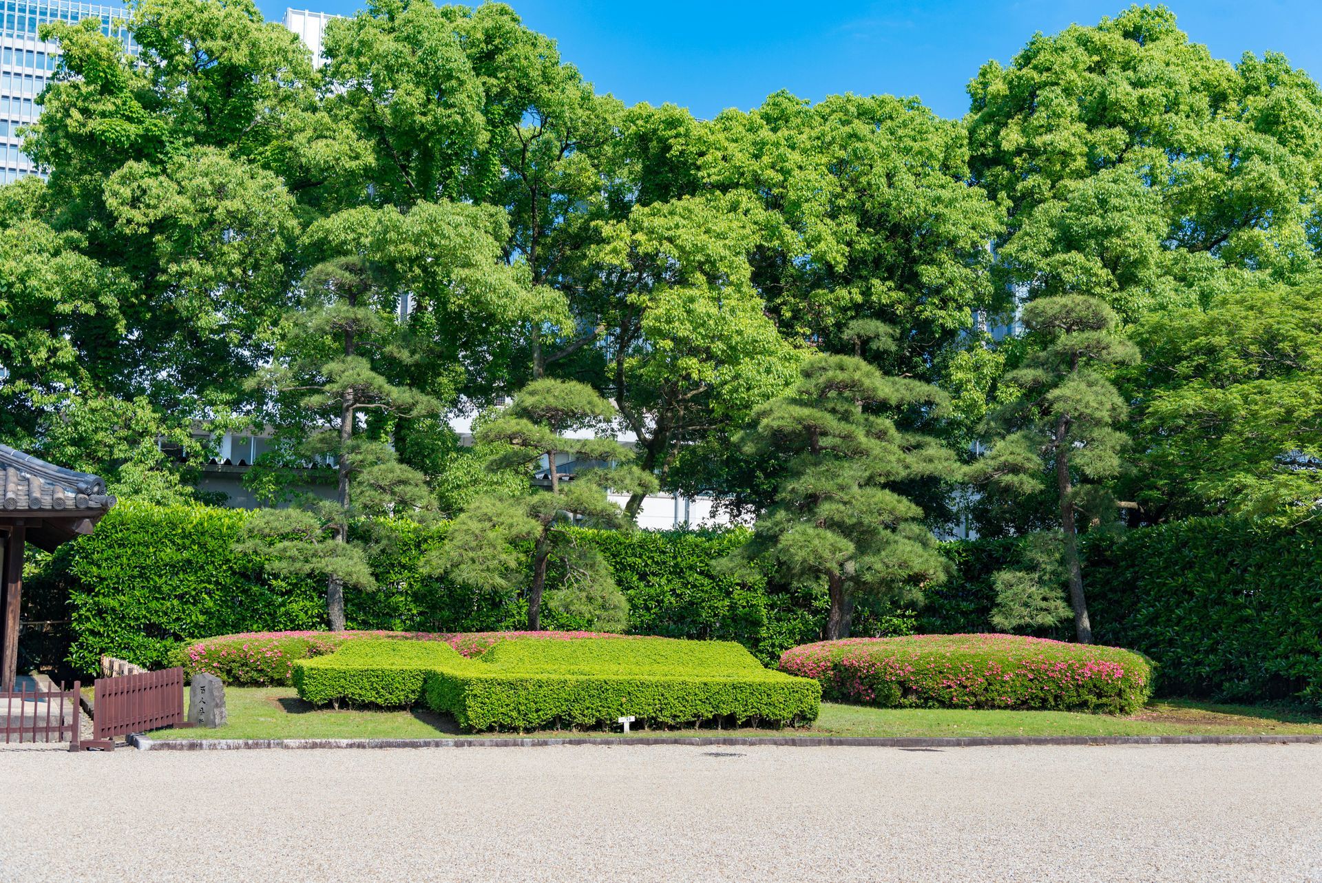 For commercial landscaping in Garland TX, call Better Earth Solutions