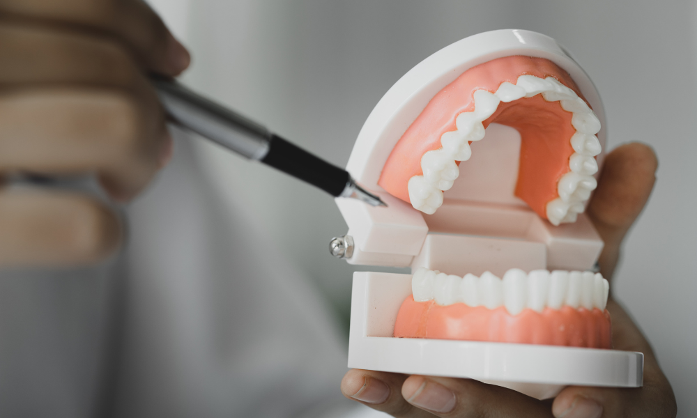 Dentist pointing to tooth on a panoramic X-ray displayed on a computer screen.