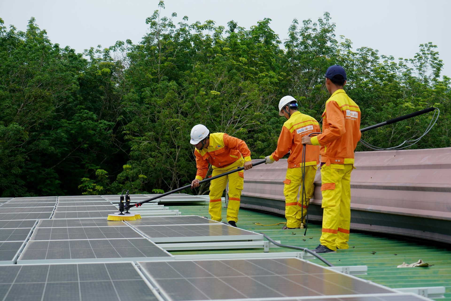 Three men are cleaning solar panels on the roof of a building.