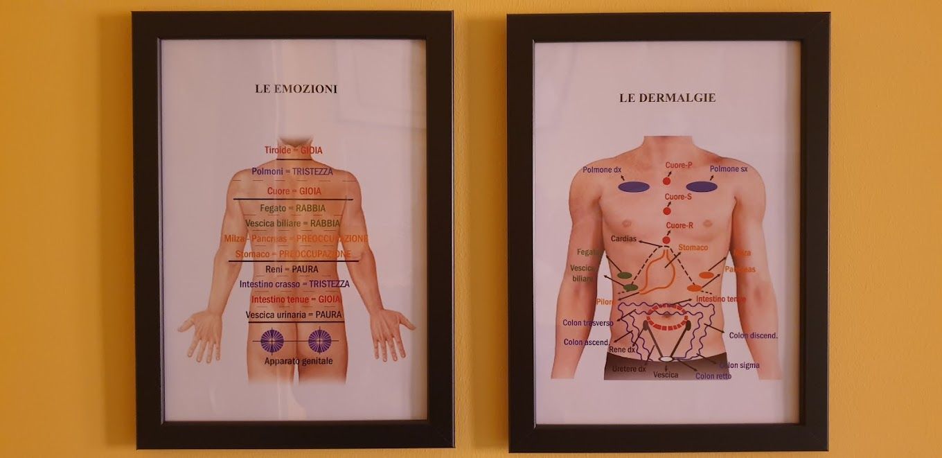 Alma Cura di Paola Mineo