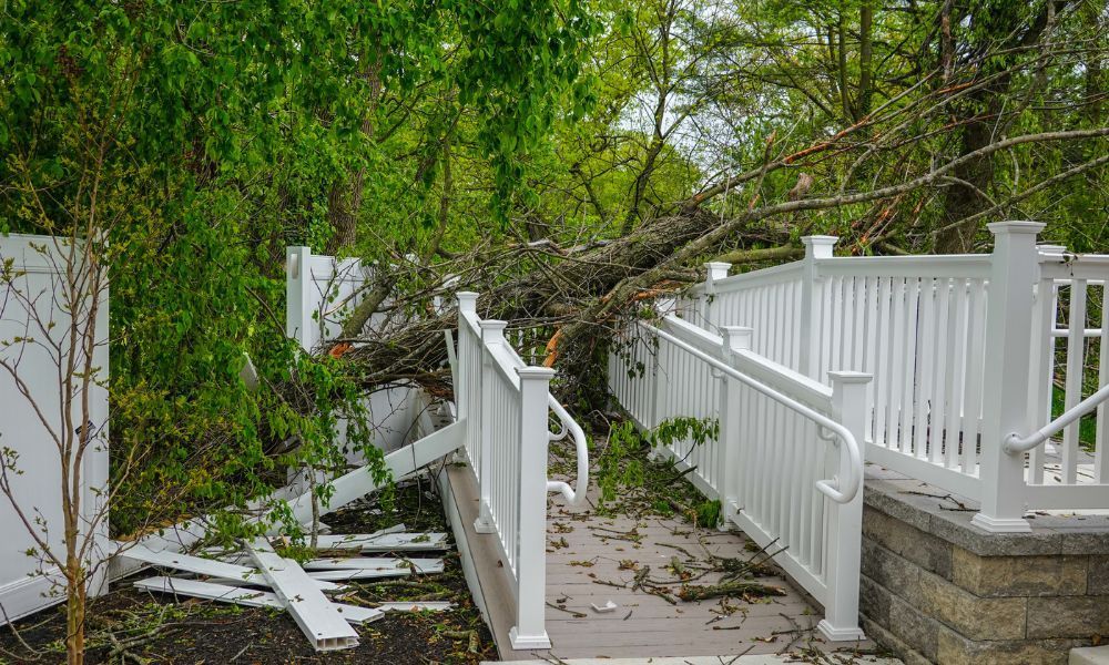 Does Homeowners Insurance Cover Emergency Tree Services?

