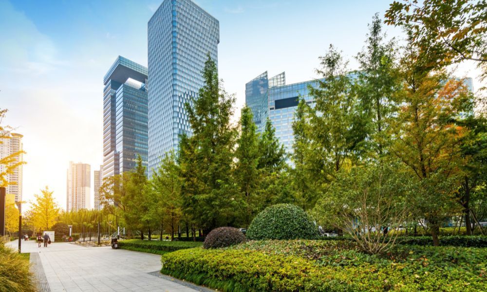 Why Commercial Properties Should Maintain Their Trees