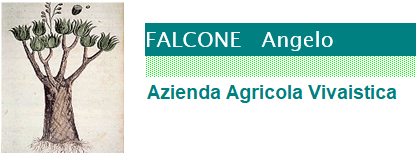 Vivai Falcone logo
