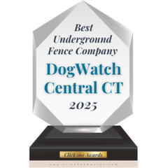 click360 award winner