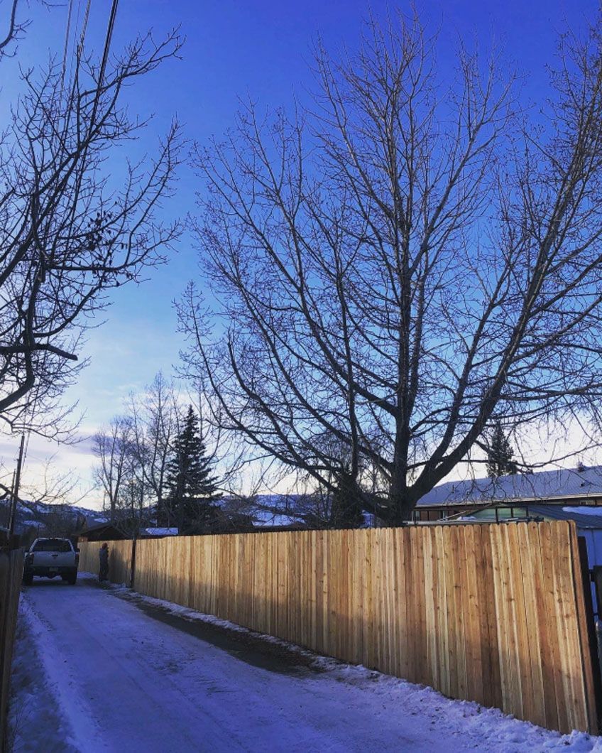 A wooden fence surrounds a snowy street with trees in the background.